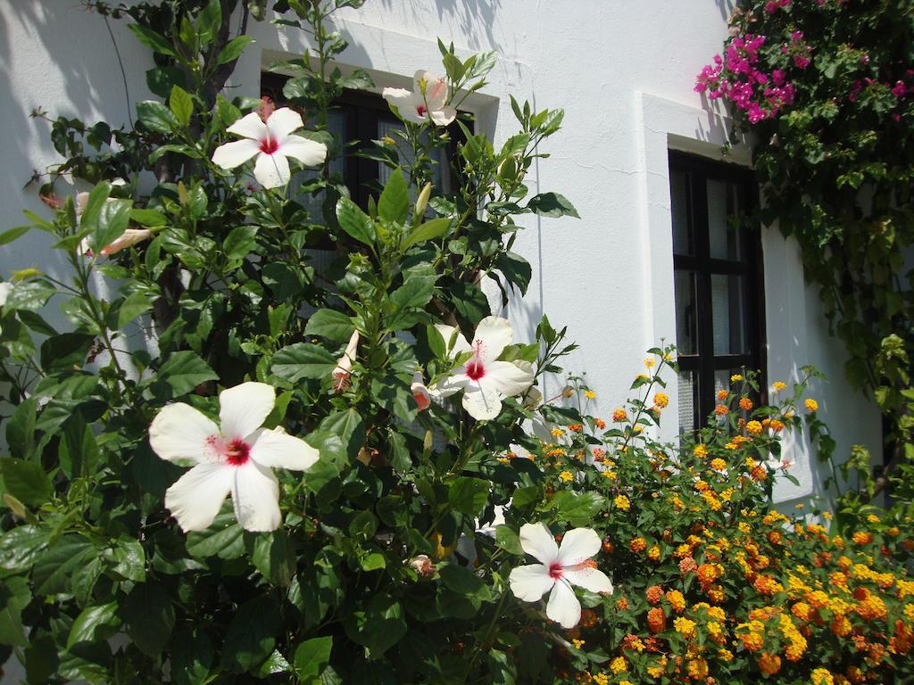 Mimosa Apart Hotel Gumbet Luaran gambar